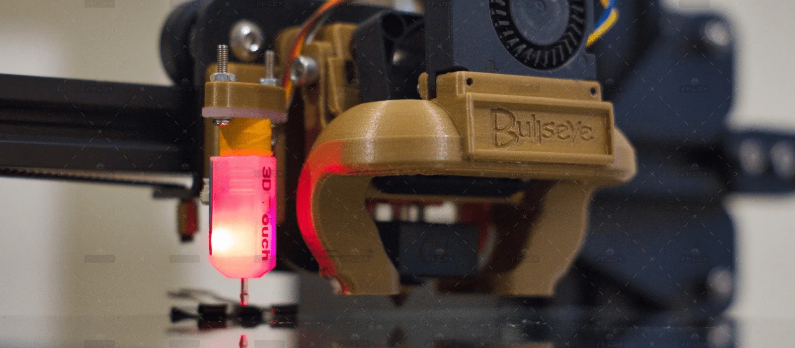 pexels-mushroom-4485456